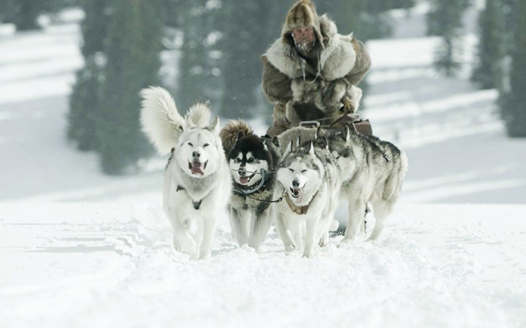 Here Are Some Recent Mushing Films To Watch While Waiting To See Who Makes It First To Nome